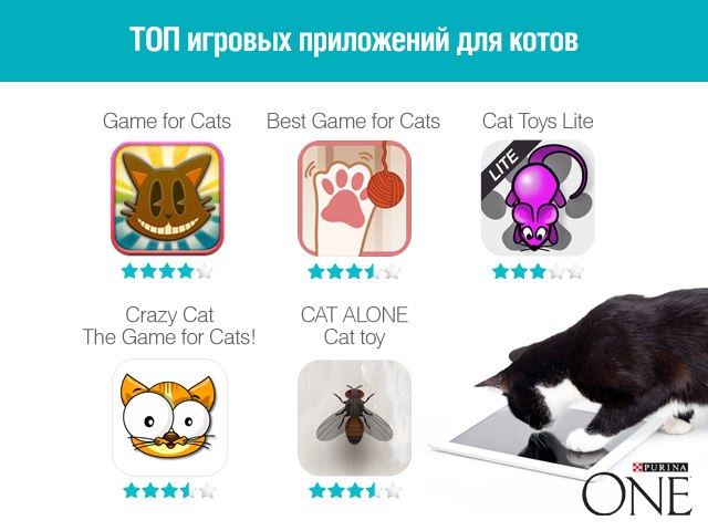 Лучшие игры и приложения для котов и кошек - Purina ONE®