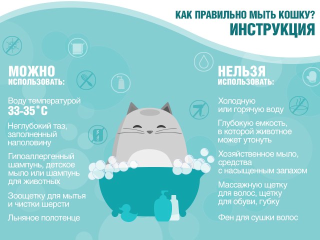 ​Как мыть кошку