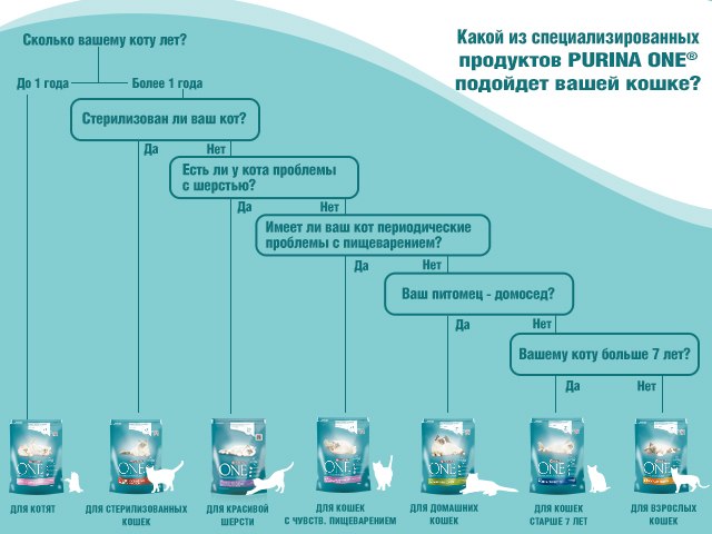 ​Какой корм лучше для кошек