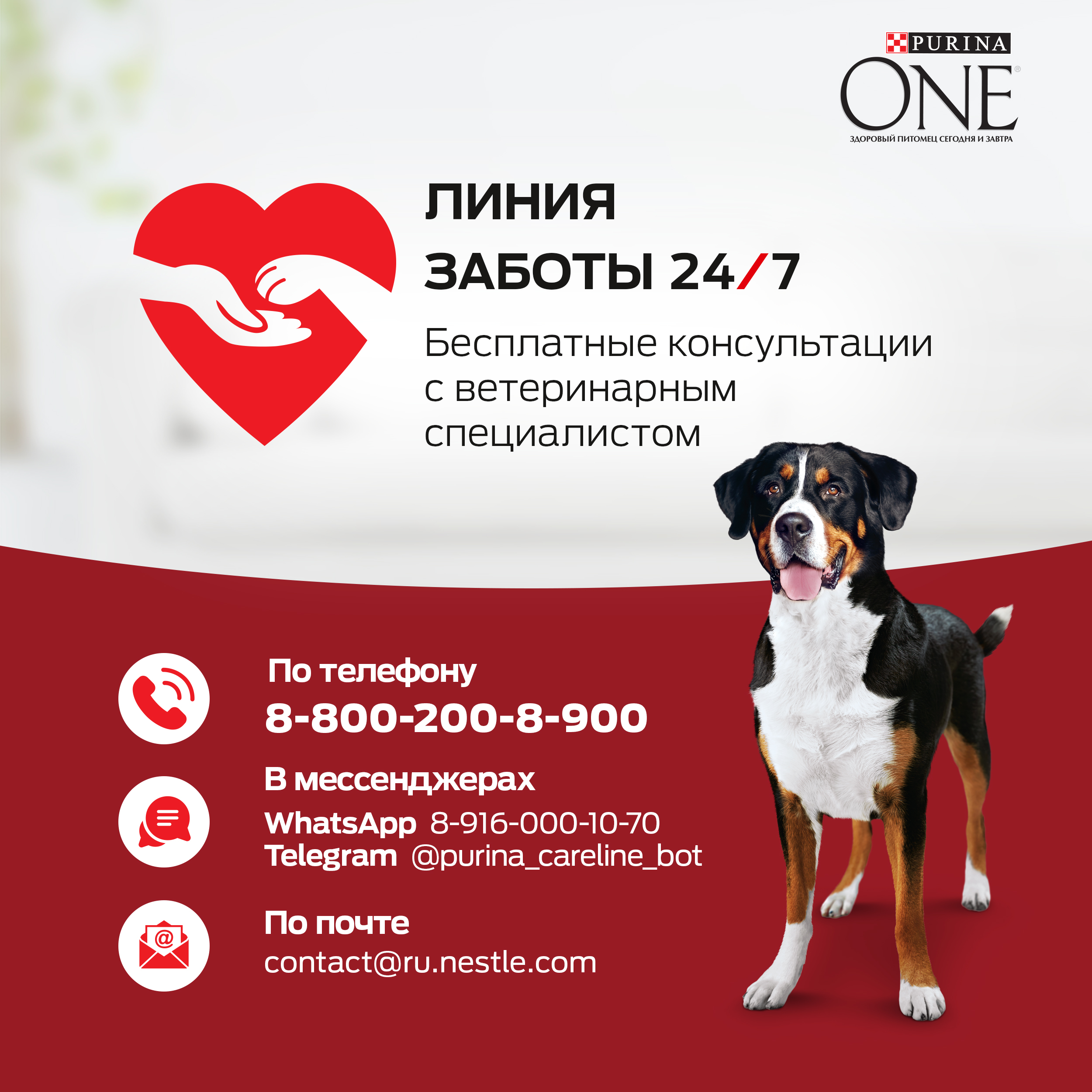 Сухой корм для щенков средних и крупных собак с курицей - Purina One