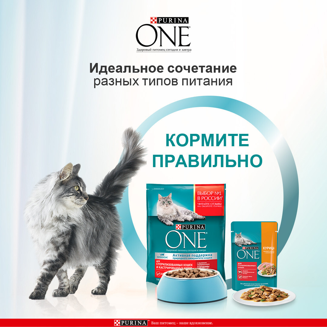 Влажный корм Purina ONE® | Purina ONE