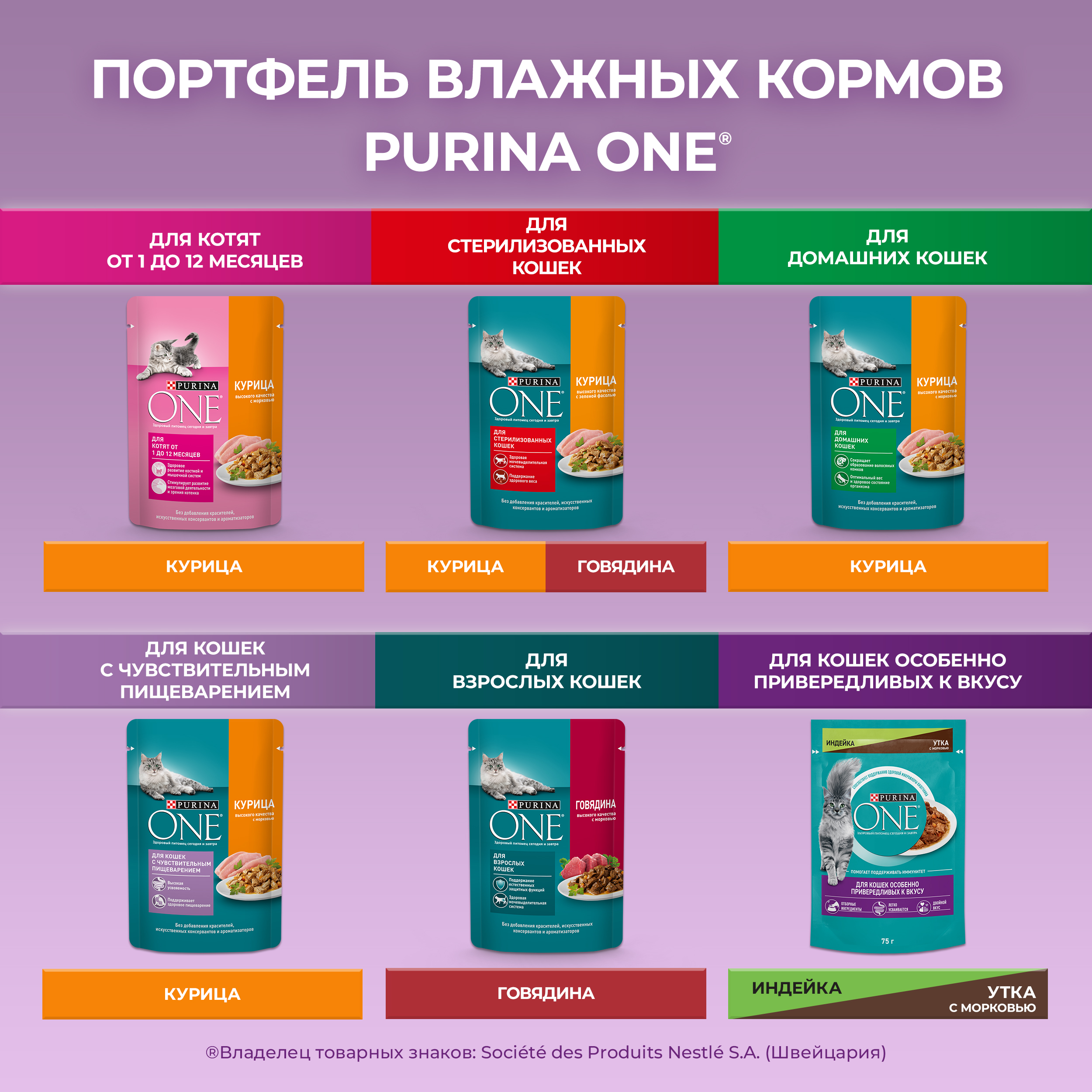 Влажный корм Purina ONE® | Purina ONE