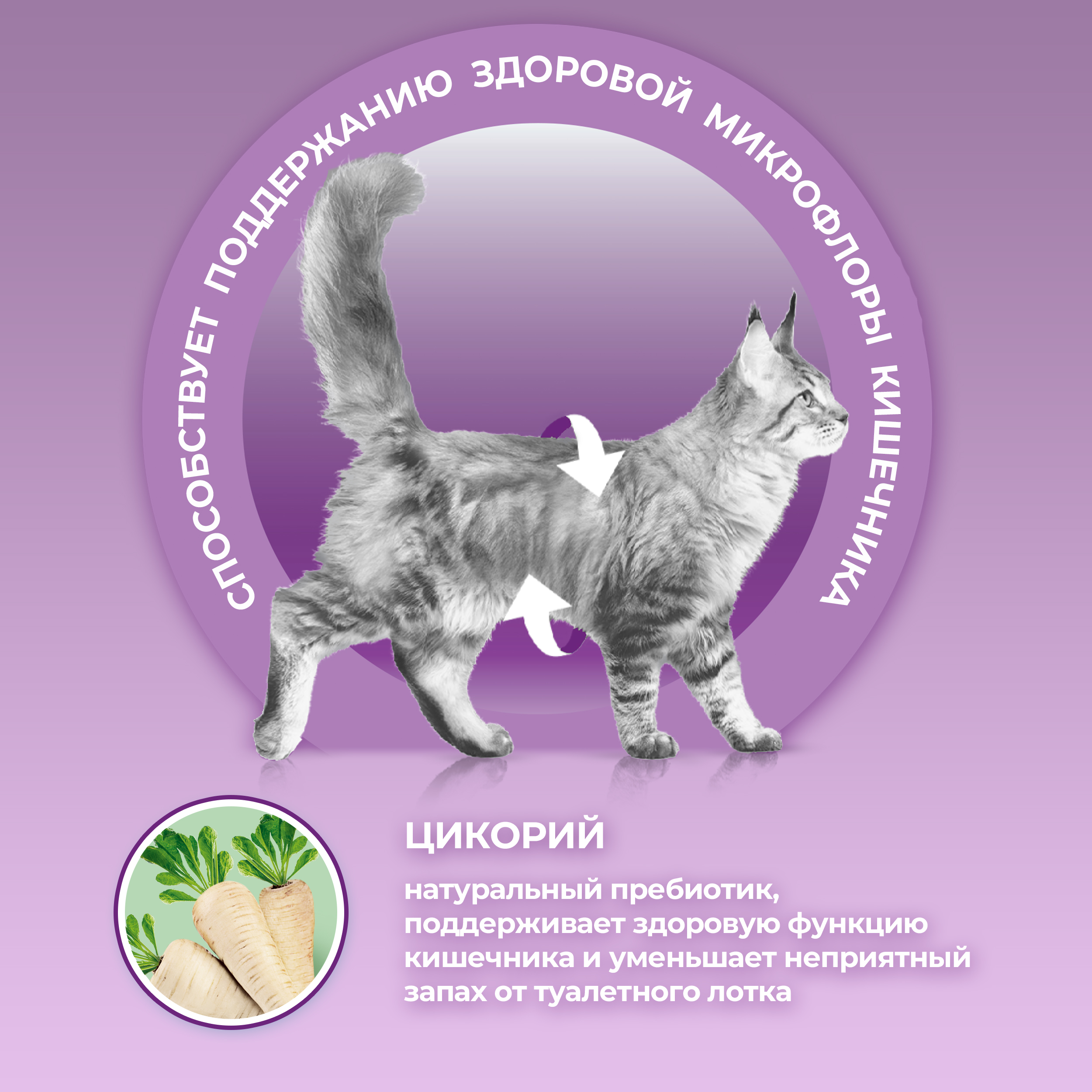 Сухой корм Purina ONE® | Purina ONE