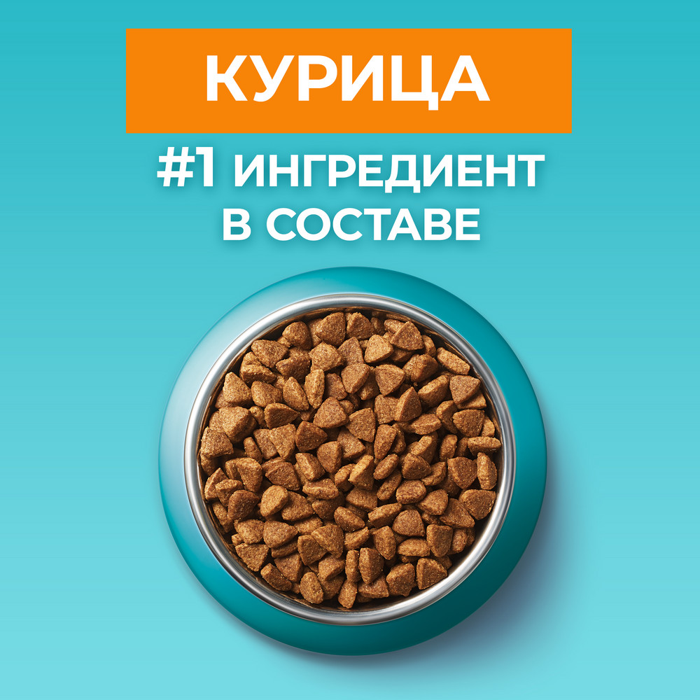 Сухой корм для кошек Purina ONE корм для кошек с курицей и злаками