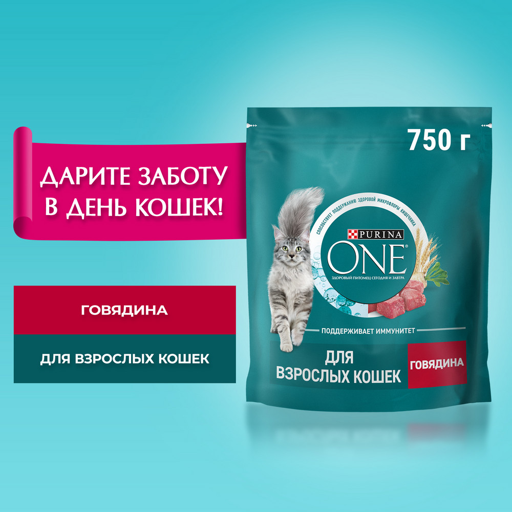 Сухой корм для кошек Purina ONE корм для кошек с говядиной и злаками