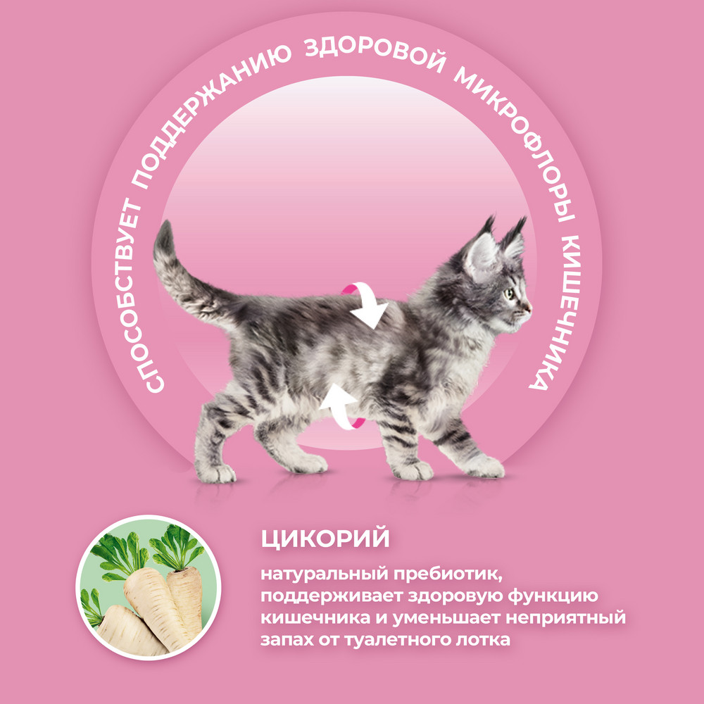 Сухой корм Purina ONE для котят с курицей и злаками - PurinaOne.ru