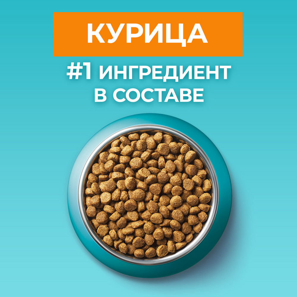 Сухой корм для пожилых кошек Purina ONE® с курицей и злаками