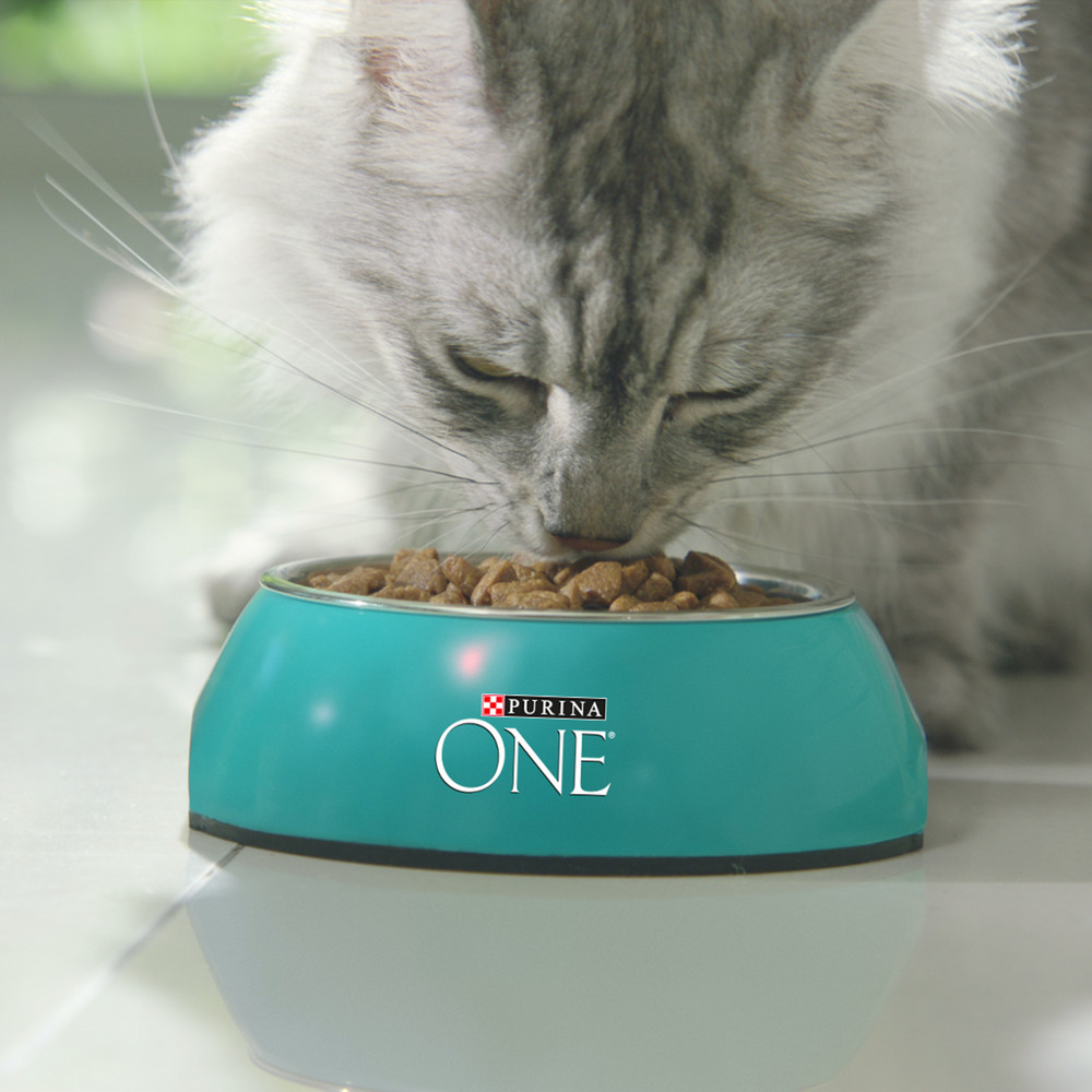 Сухой корм Purina ONE® | Purina ONE