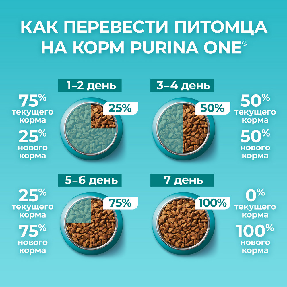 Сухой корм для кошек Purina ONE корм для кошек с курицей и злаками