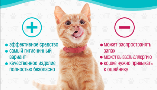 Ошейник от клещей