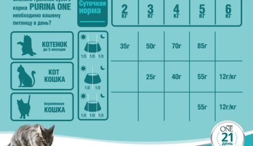 ​Нормы кормления кошек сухим кормом