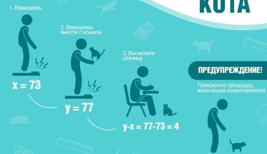 ​Как и для чего нужно взвешивать кота