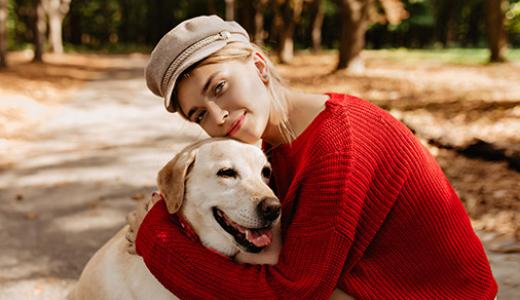 Популярные породы собак: ТОП-10