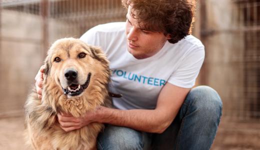 Собака с мужчиной