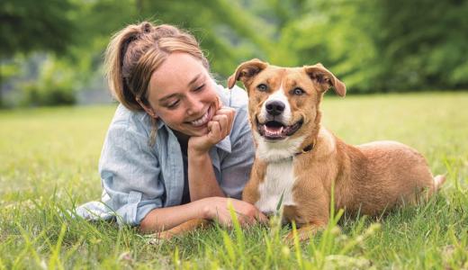 Как чистить зубы собаке