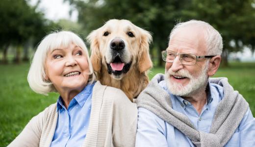 Собака для пожилых