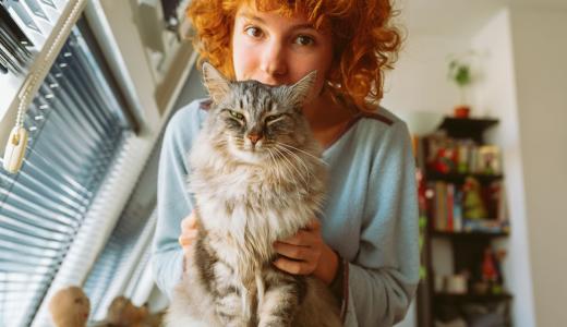Как справиться с агрессией у кошек?