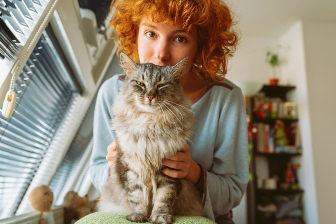 Как справиться с агрессией у кошек?