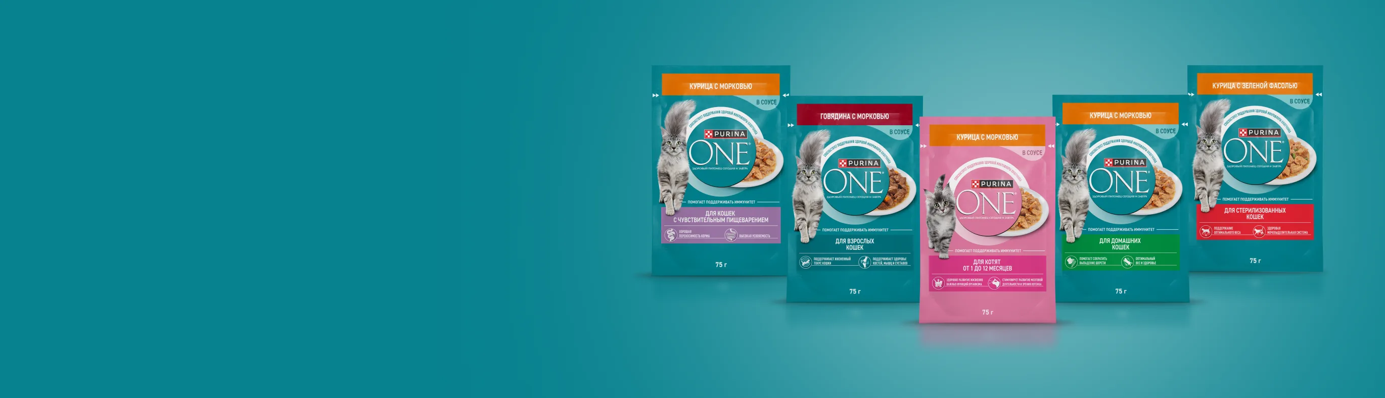 Ассортимент смешанного питания Purina ONE, сухой и влажный корм