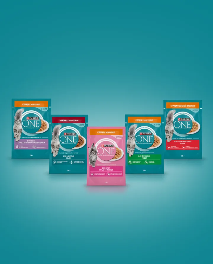 Ассортимент кормов Purina ONE для смешанного кормления, мобильная версия схемы